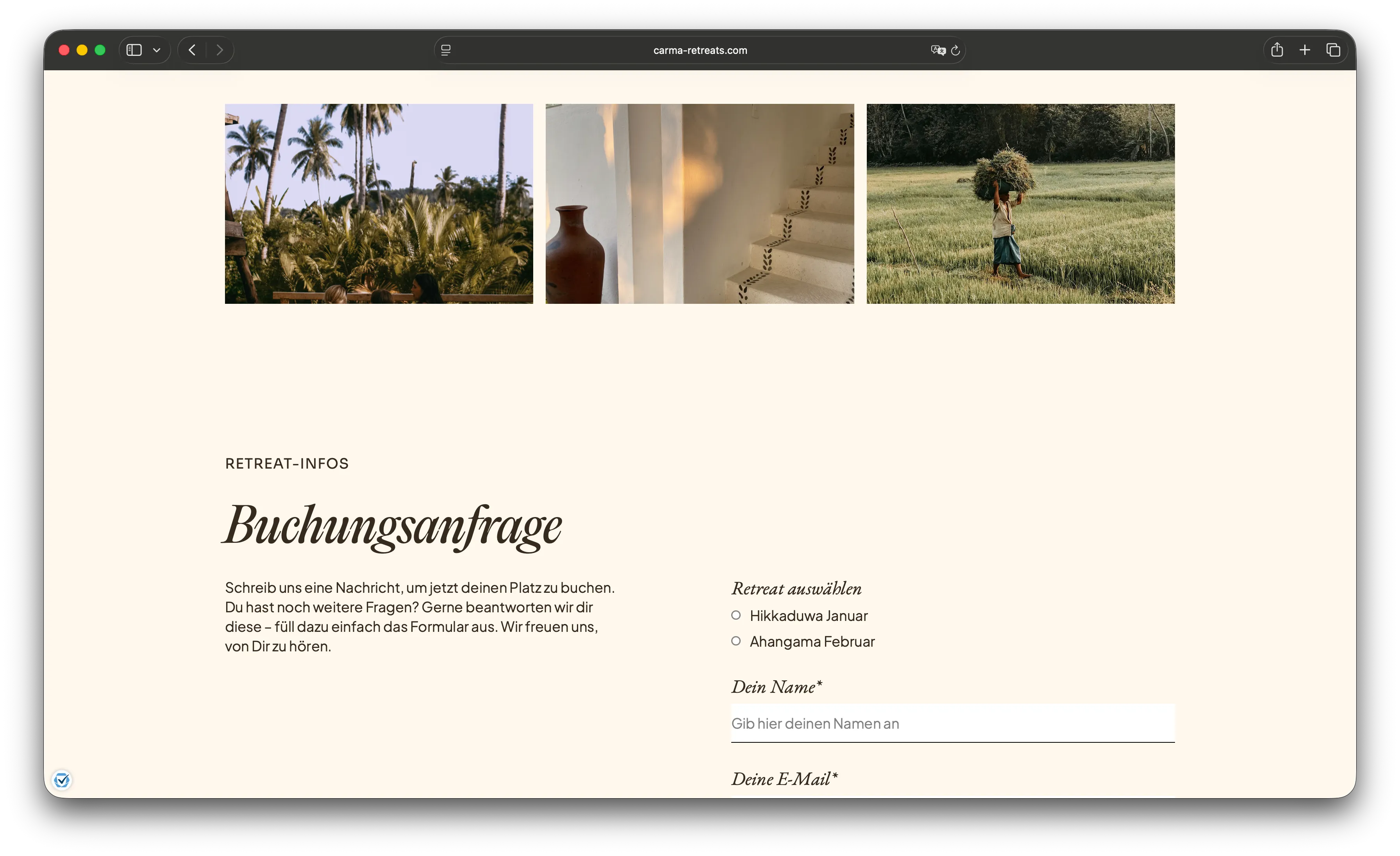 Visual system details