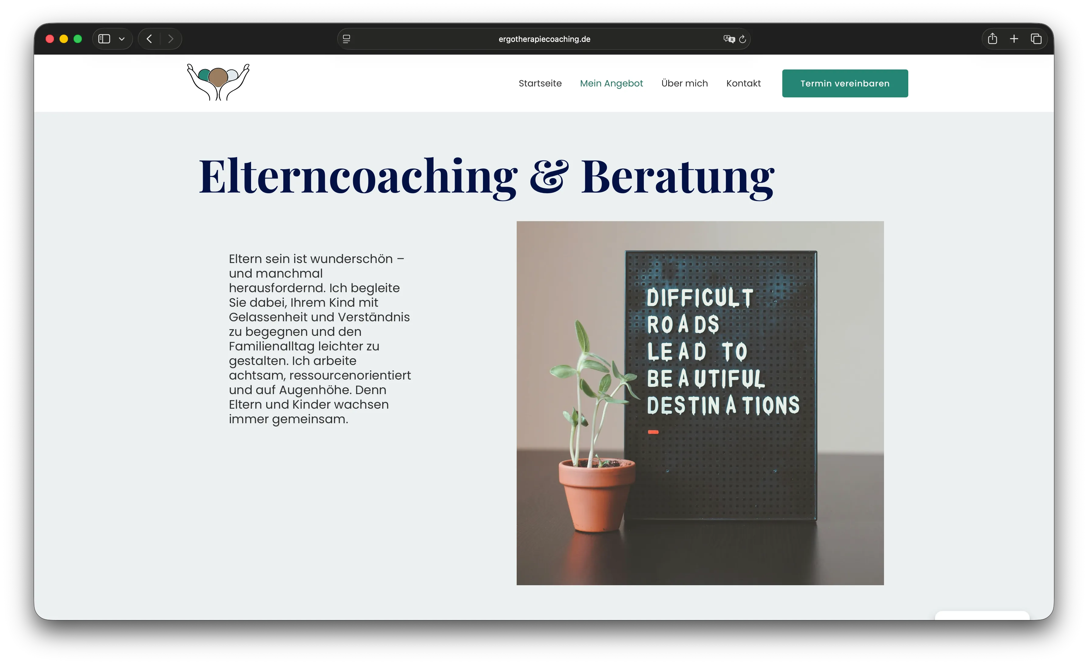Visual system details